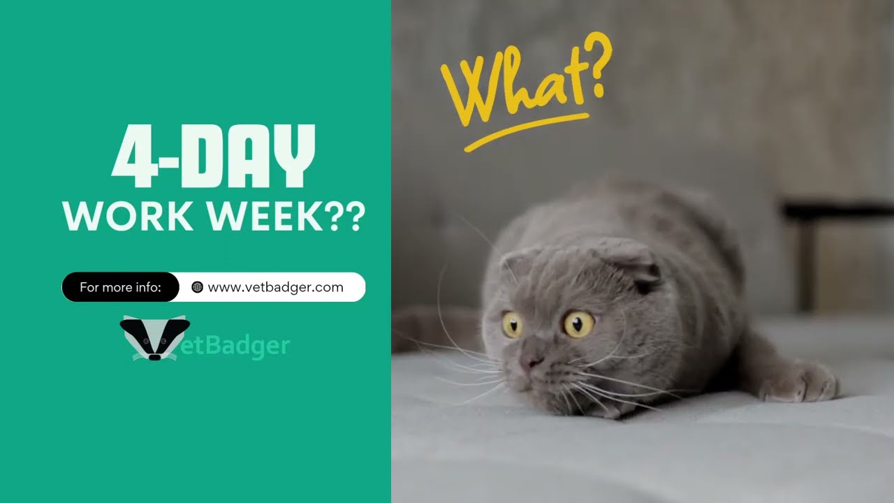 Want A 4-Day Work Week?