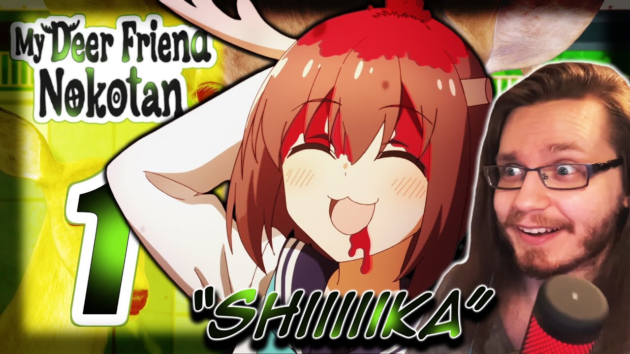 WHAT AM I WATCHING?! | My Deer Friend Nokotan Episode 1