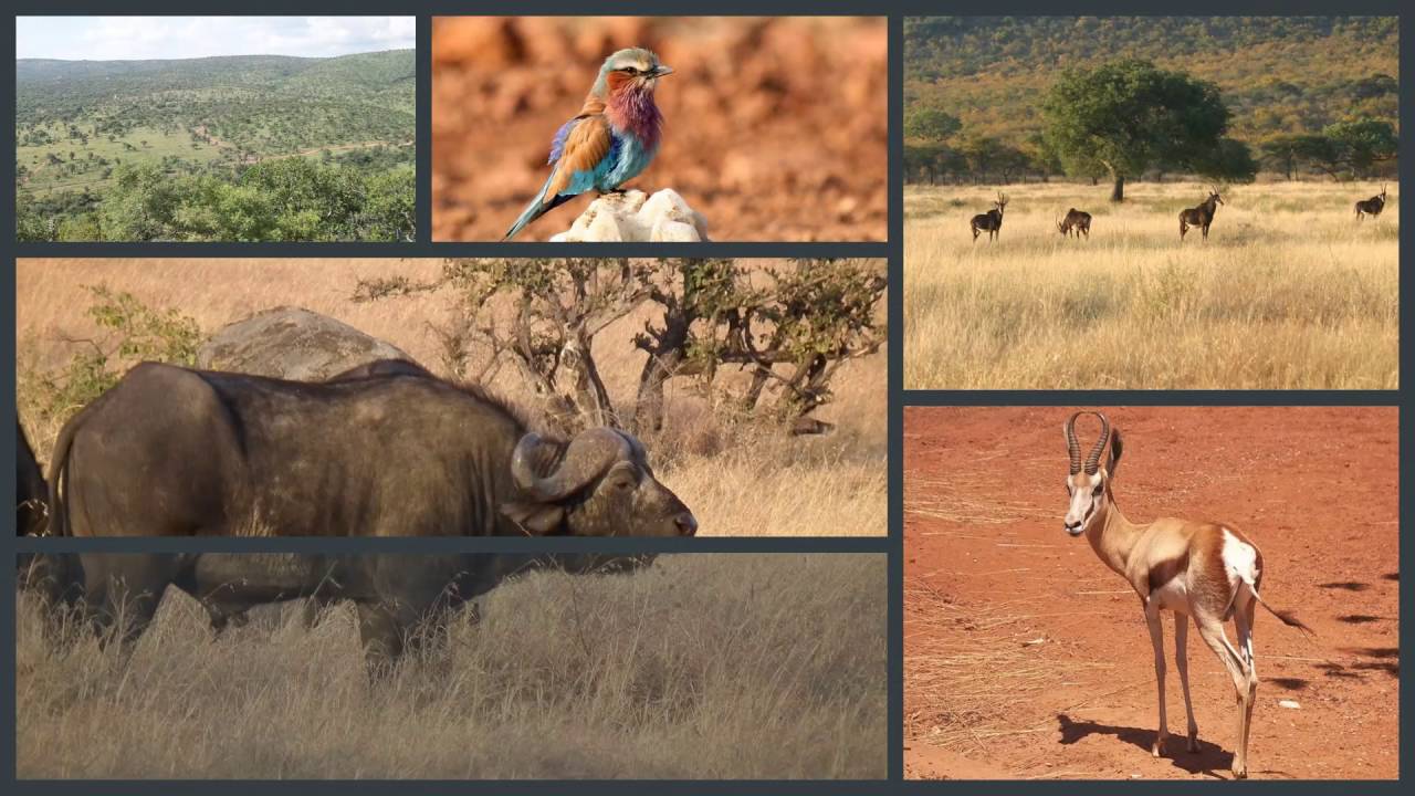 zwartkloof private game reserve
