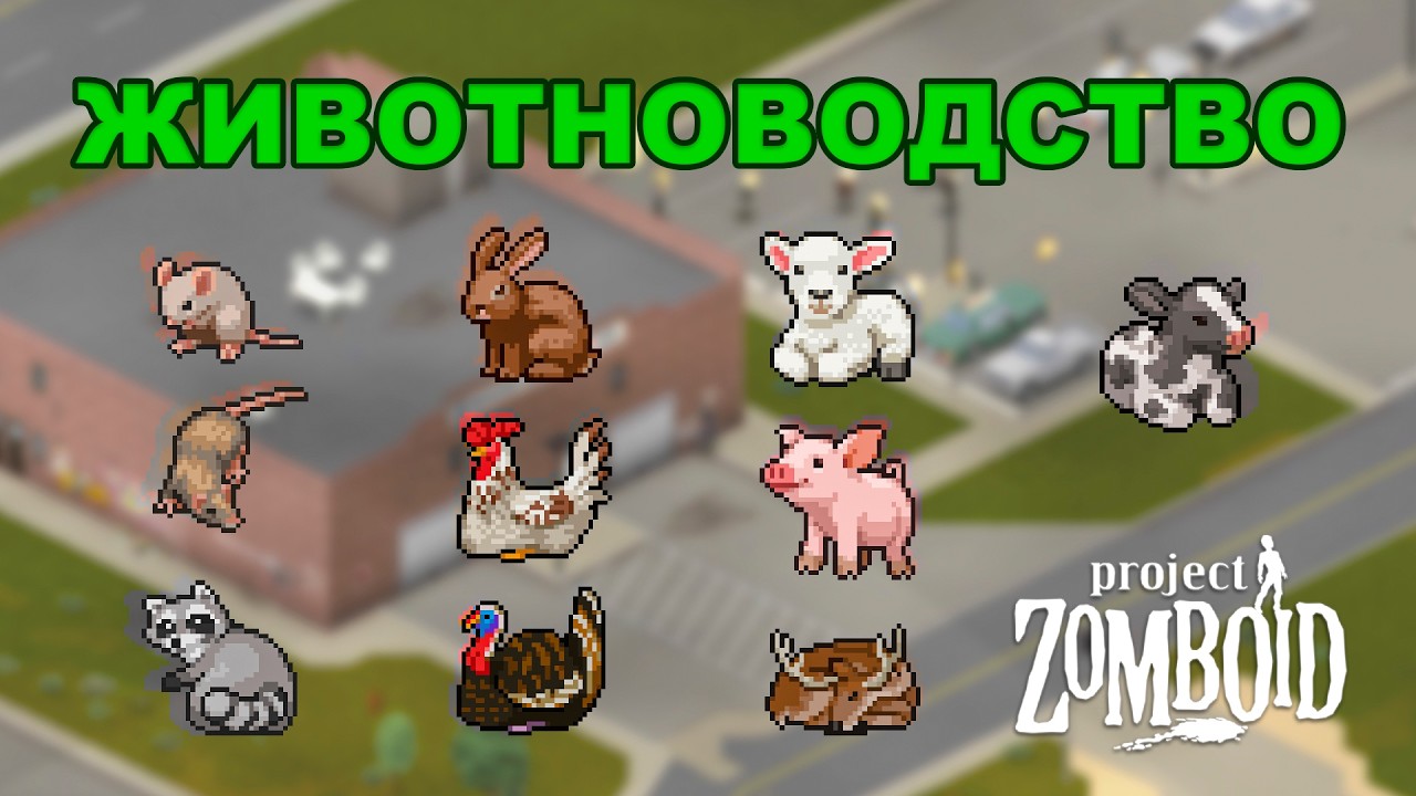 Животноводство в Project Zomboid