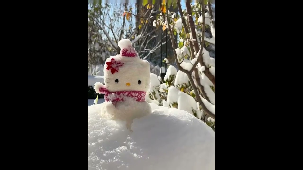 🎀 #sanriogirl #hellokitty #hellokittyforever #christmas #sanriopuroland #sanrio #mymelody #kuromi