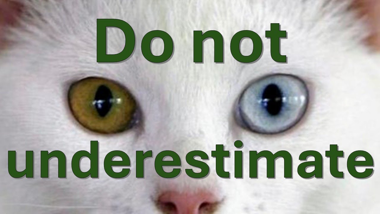 Negotiation Tool - Don't underestimate