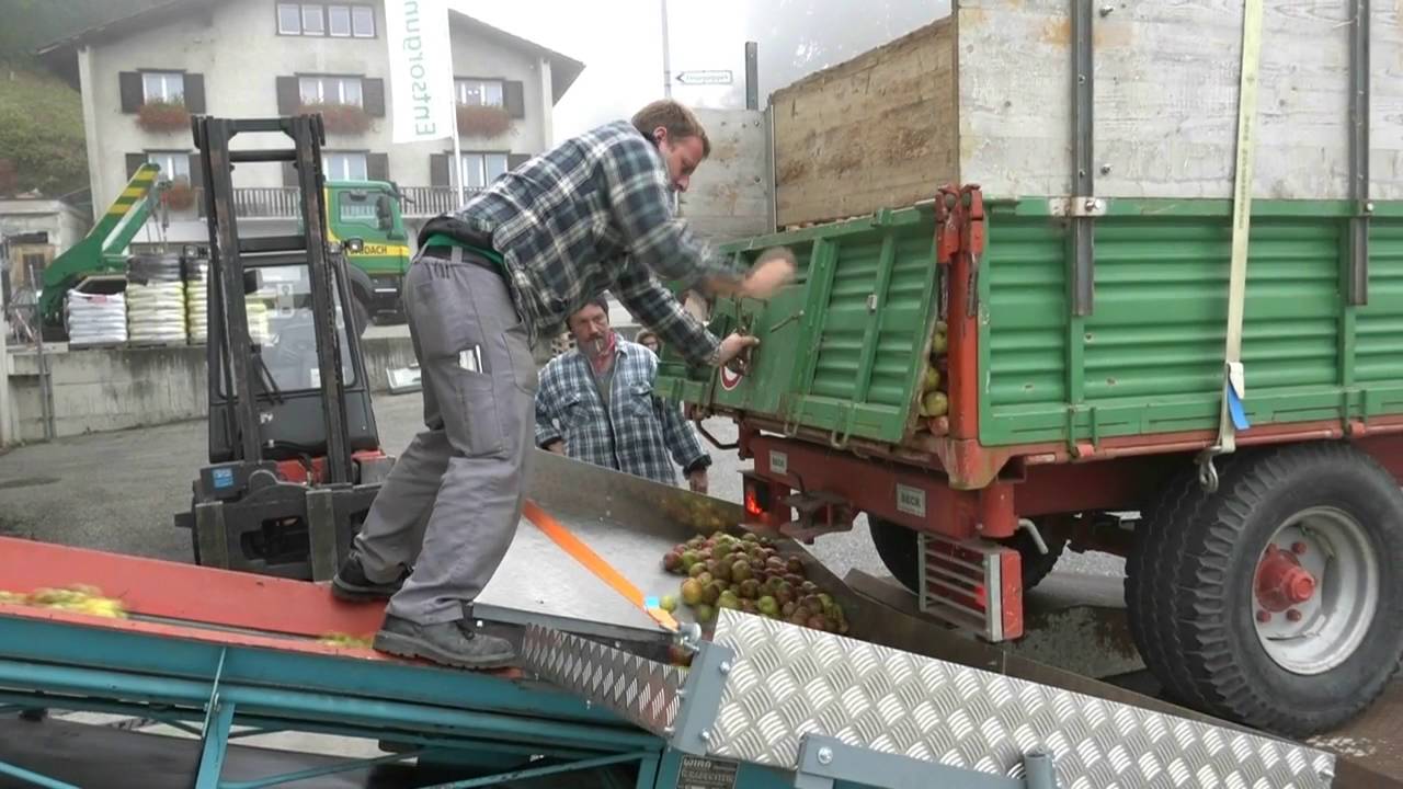 Obsternte 2016 Die sauren &Auml;pfel kommen zur Mosterei