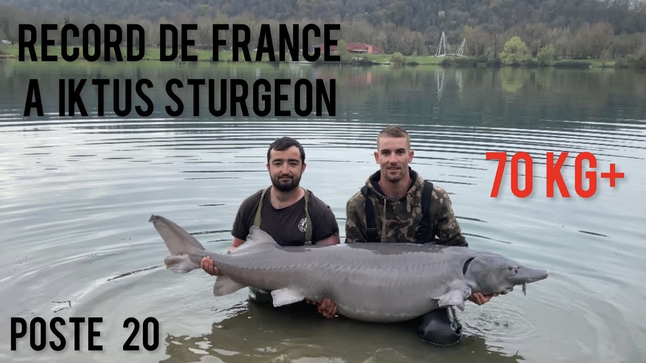 Iktus sturgeon // poste 20 // Record de France // 4K