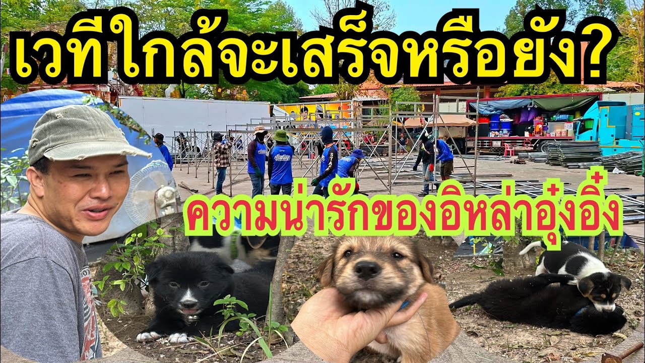 ความน่ารักของลูกๆอิหล่าอุ๋งอิ๋ง เวทีใกล้เสร็จยัง?ตั้งถึงไหนแล้ว #อุ๋งอิ๋ง #สาวน้อยเพชรบ้านแพง