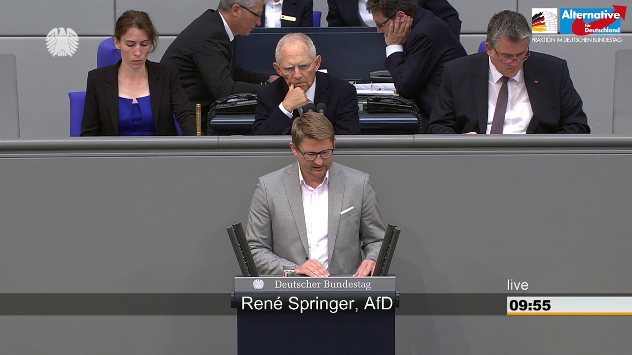 Haushaltsentwurf ist in Zahlen gegossenes Politikversagen - Ren&eacute; Springer - AfD-Fraktion Bundestag