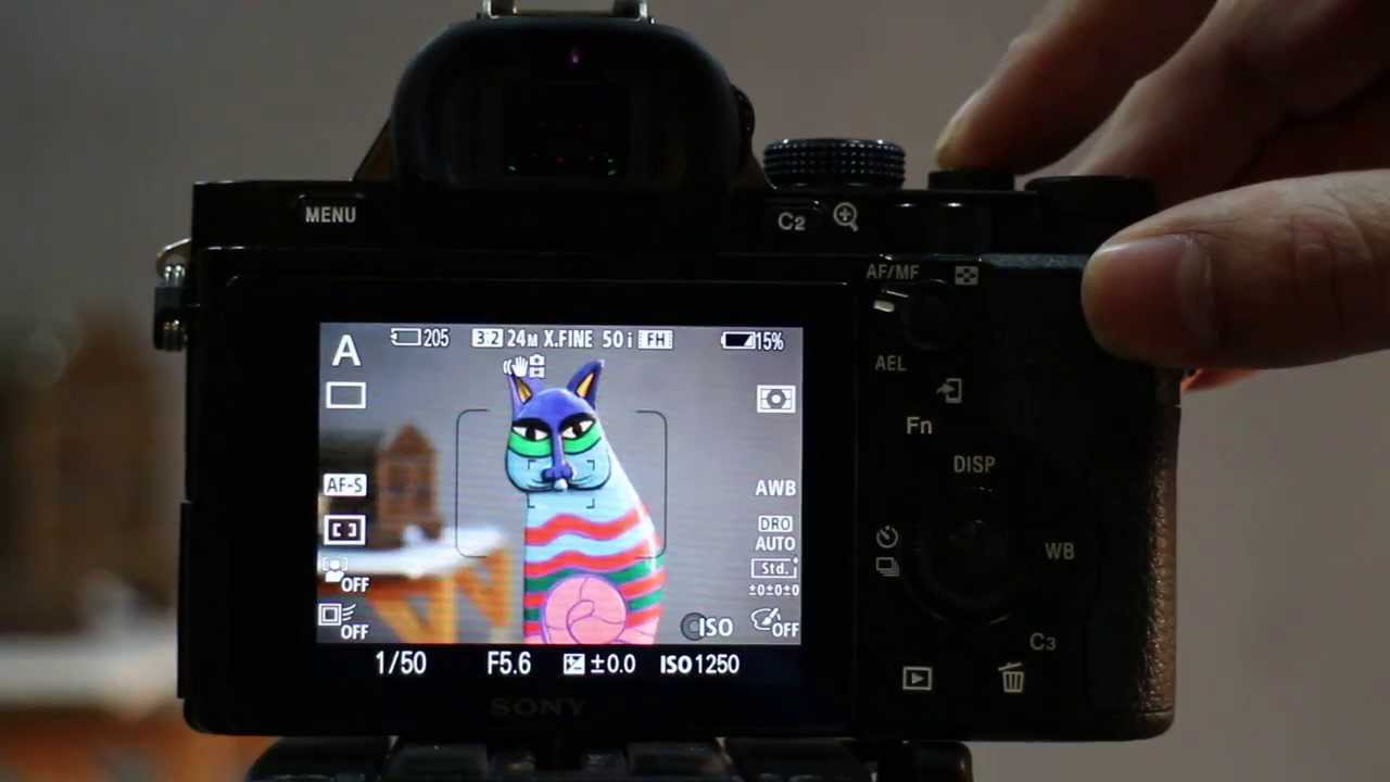 Sony A7 One Shot Center AF with Hybrid AF (Contrast + Phase)