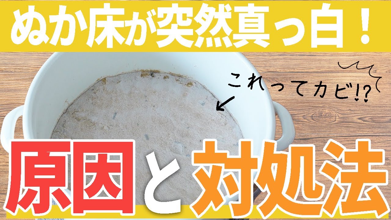 ある日突然ぬか床が真っ白！これはカビ？原因と対処法を解説
