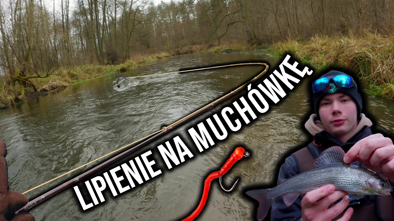 ŁOWIMY ZIMOWE LIPIENIE Z MAŁEJ RZEKI! | WĘDKARSTWO MUCHOWE | #vlog62