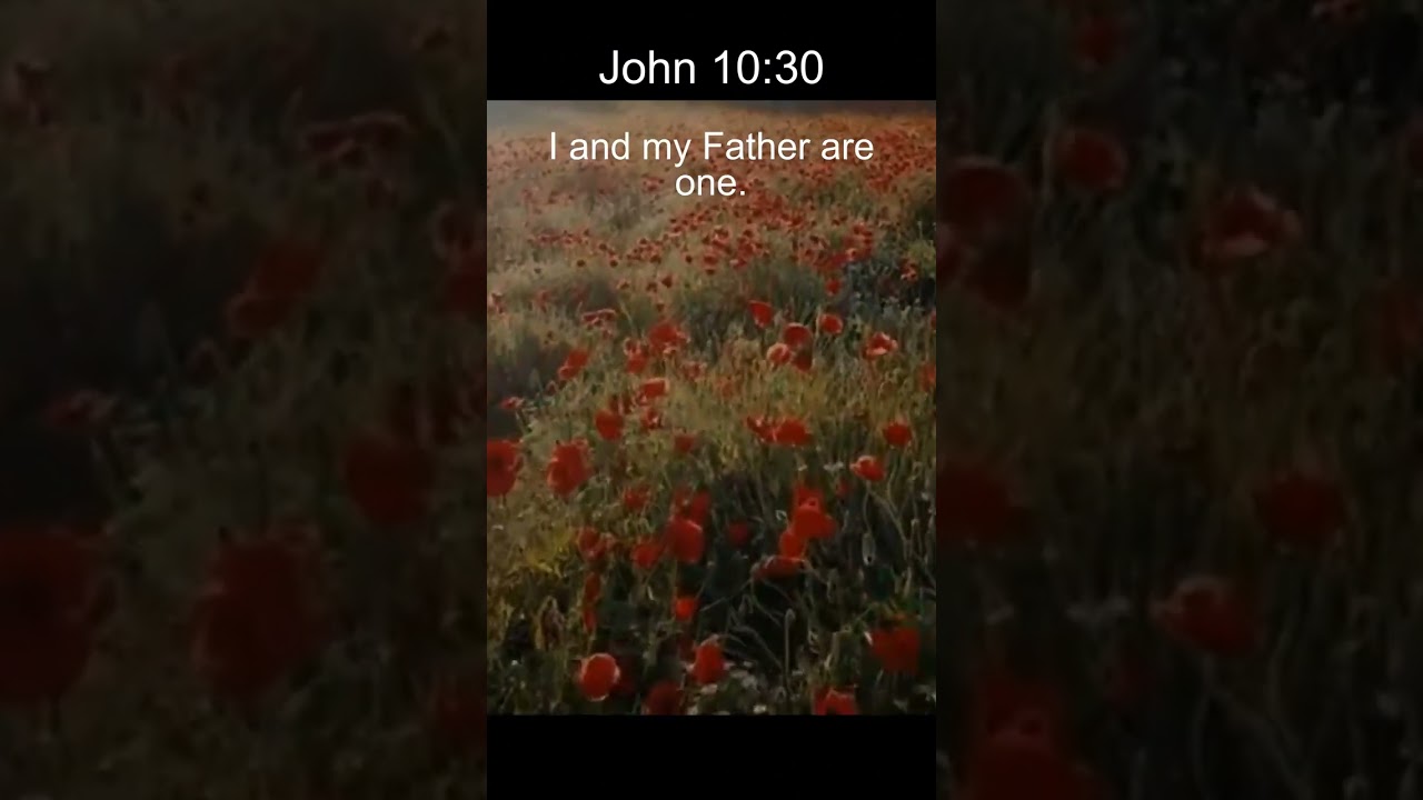 João 