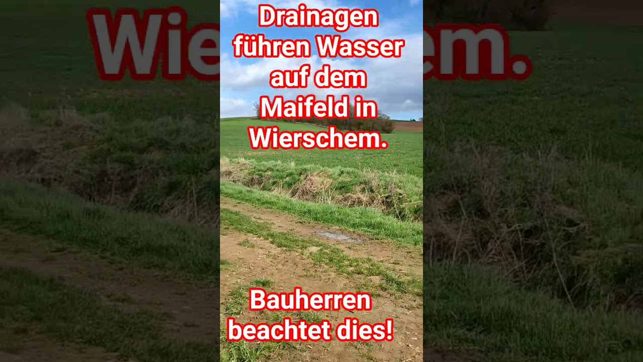 Drainagen in Wierschem f&uuml;hren Wasser. Bauherren im eventuellen Neubaugebiet beachtet dies bitte.