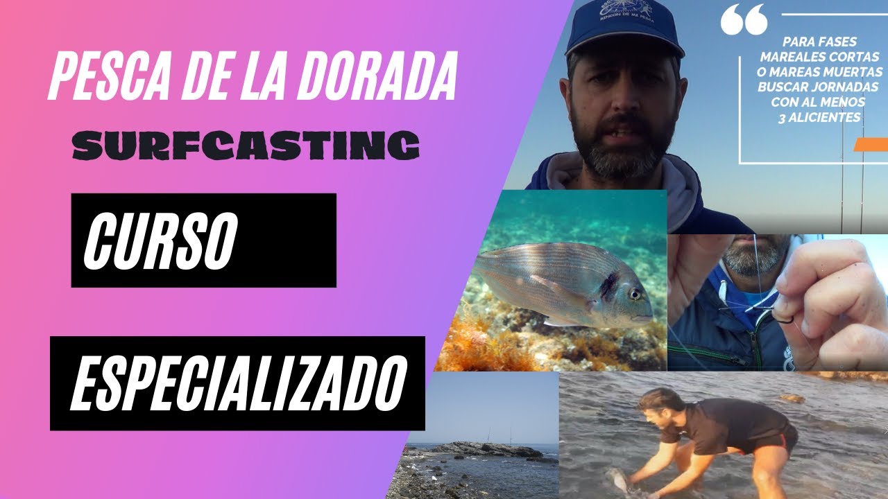 Pesca especializada de la dorada pesca a surfcasting