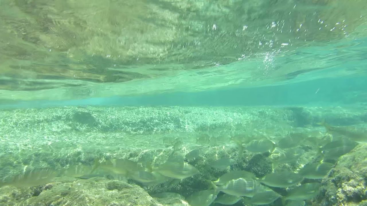 Camping Amarin Rovinj 2021 Unterwasser