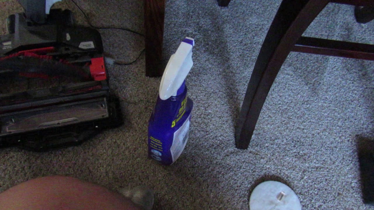 Dyson Ball vs Shark rocket Pt2