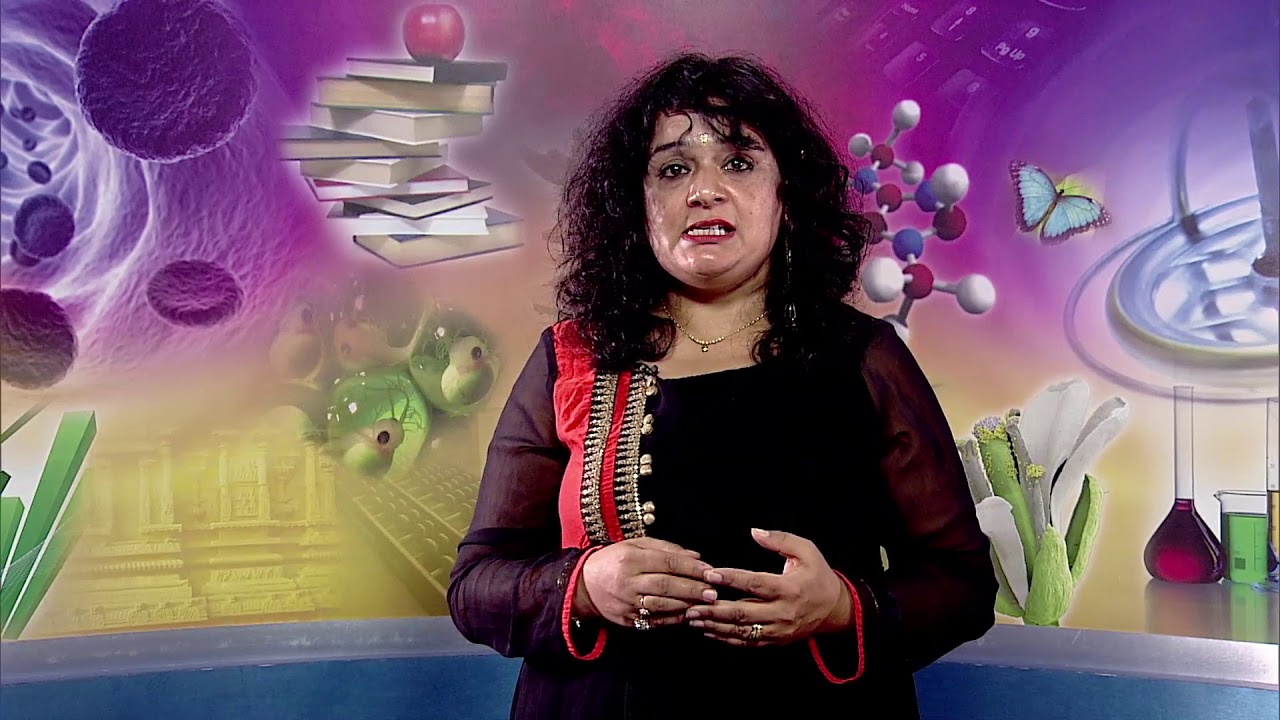 COURSE 501 L 13 Dr  Palavi Kaul Organisational structure of elementary education at various levels N
