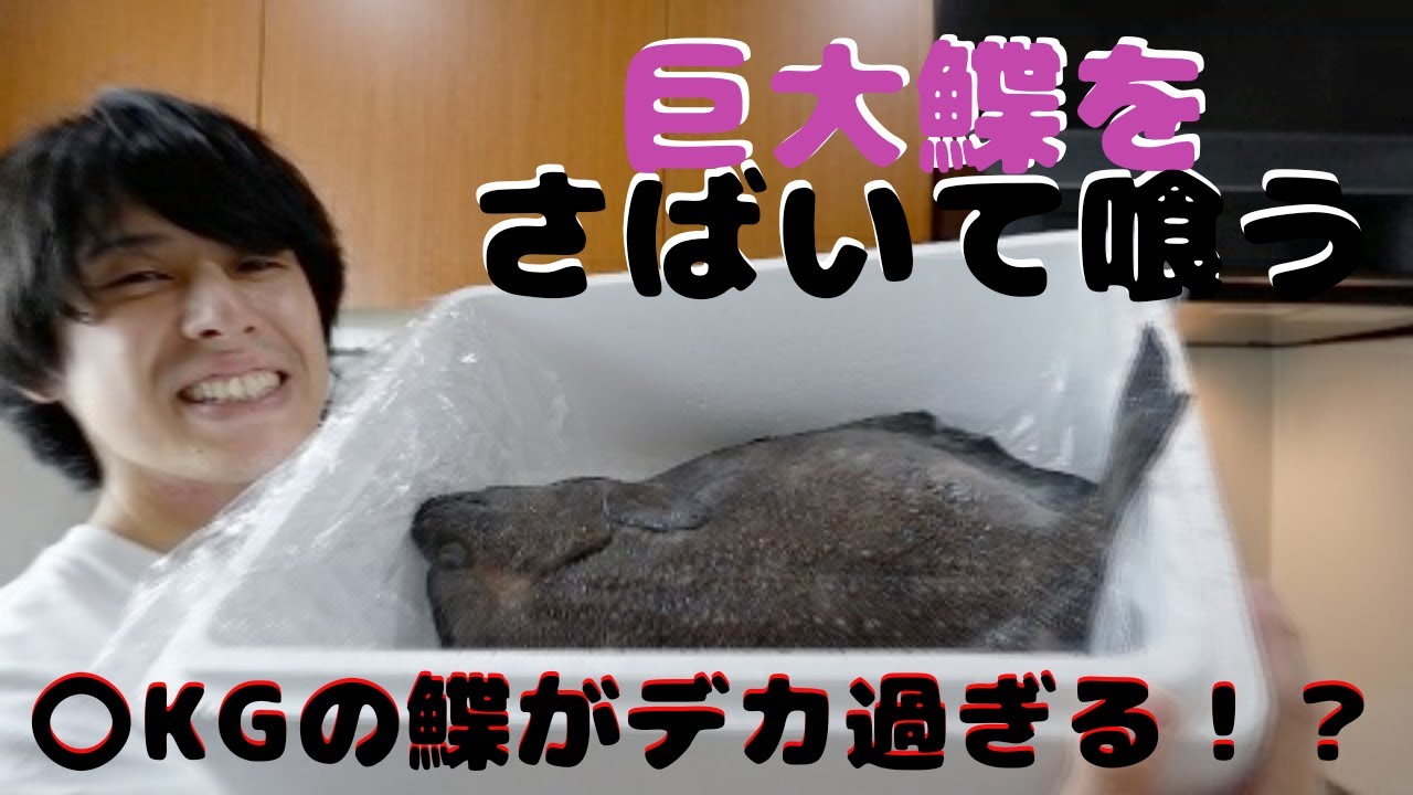 巨大鰈をさばいて定番の刺身と寿司にして一杯楽しむ動画