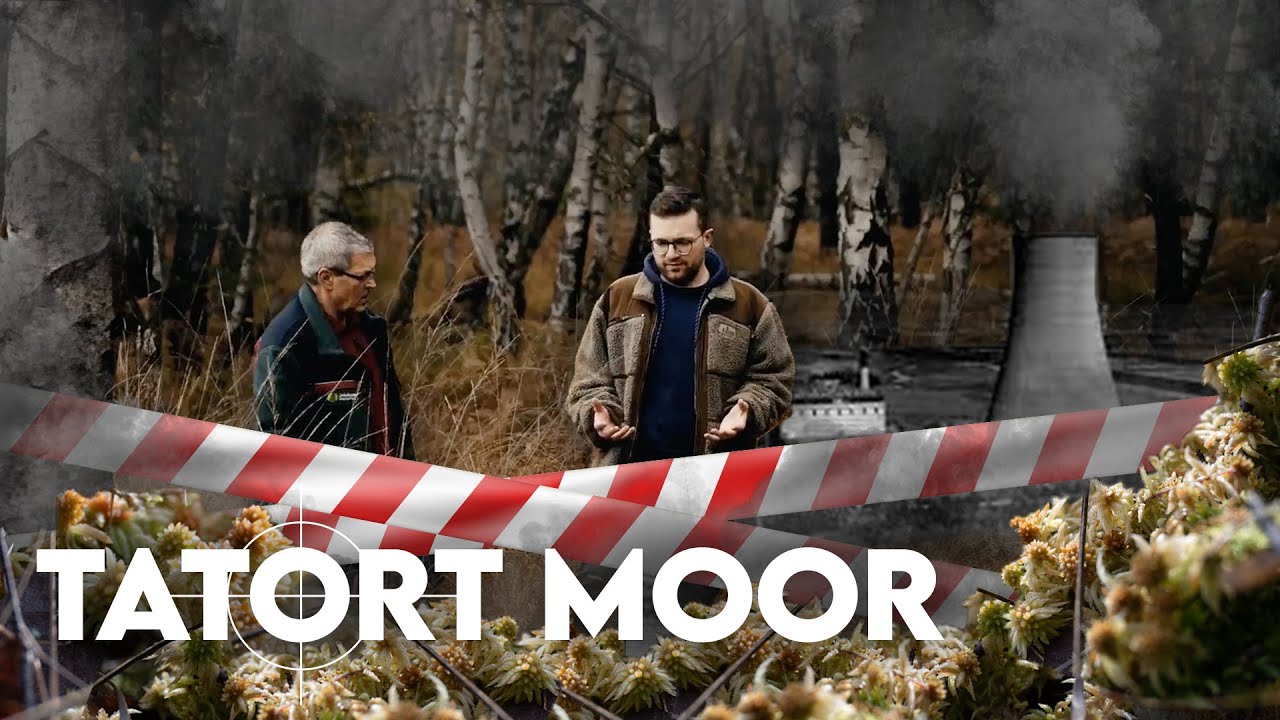 Moore: Wie wächst ein Moor? | Forst erklärt