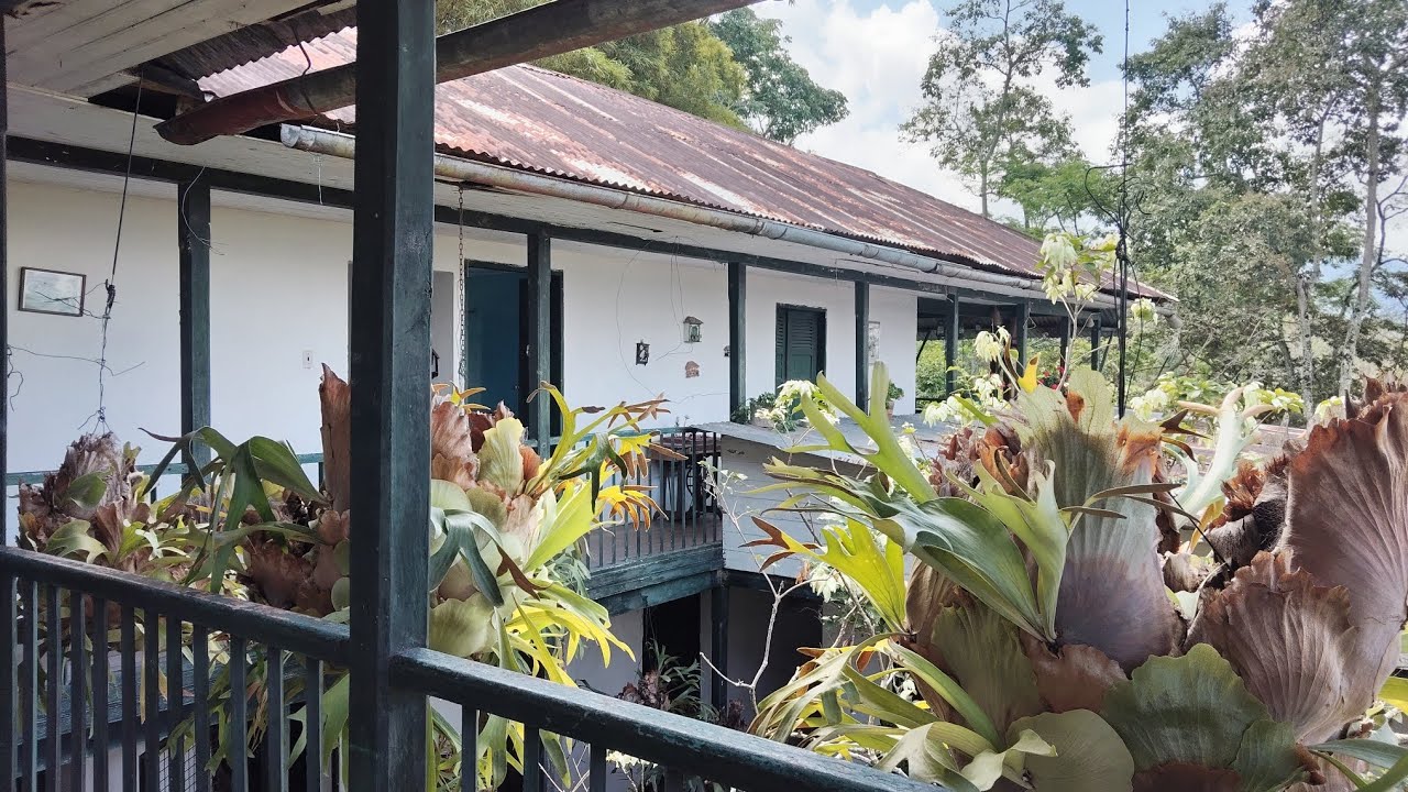 Hablando de café con Martha Paez de Hacienda San Jorge de Viota 