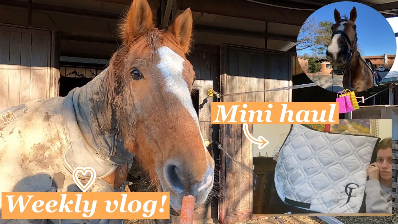 Weekly vlog in maneggio & mini haul | Ludovica Lupidi