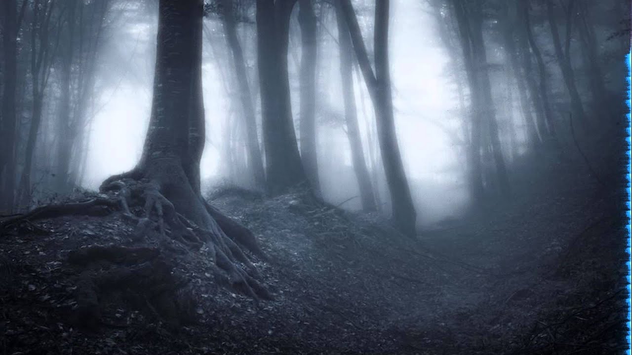 M&oslash;rk Skog - Wanderers Nachtlied