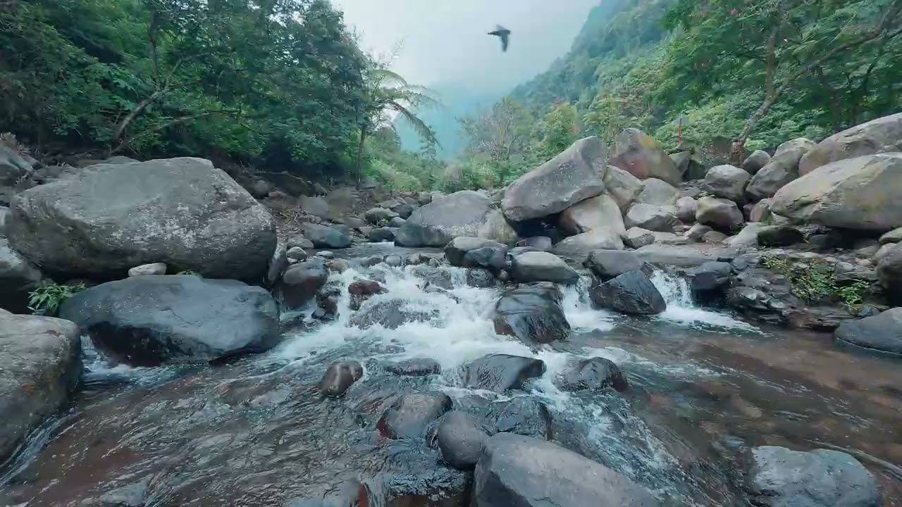 Nature Sounds : River Ambience ASMR for Study and Focus