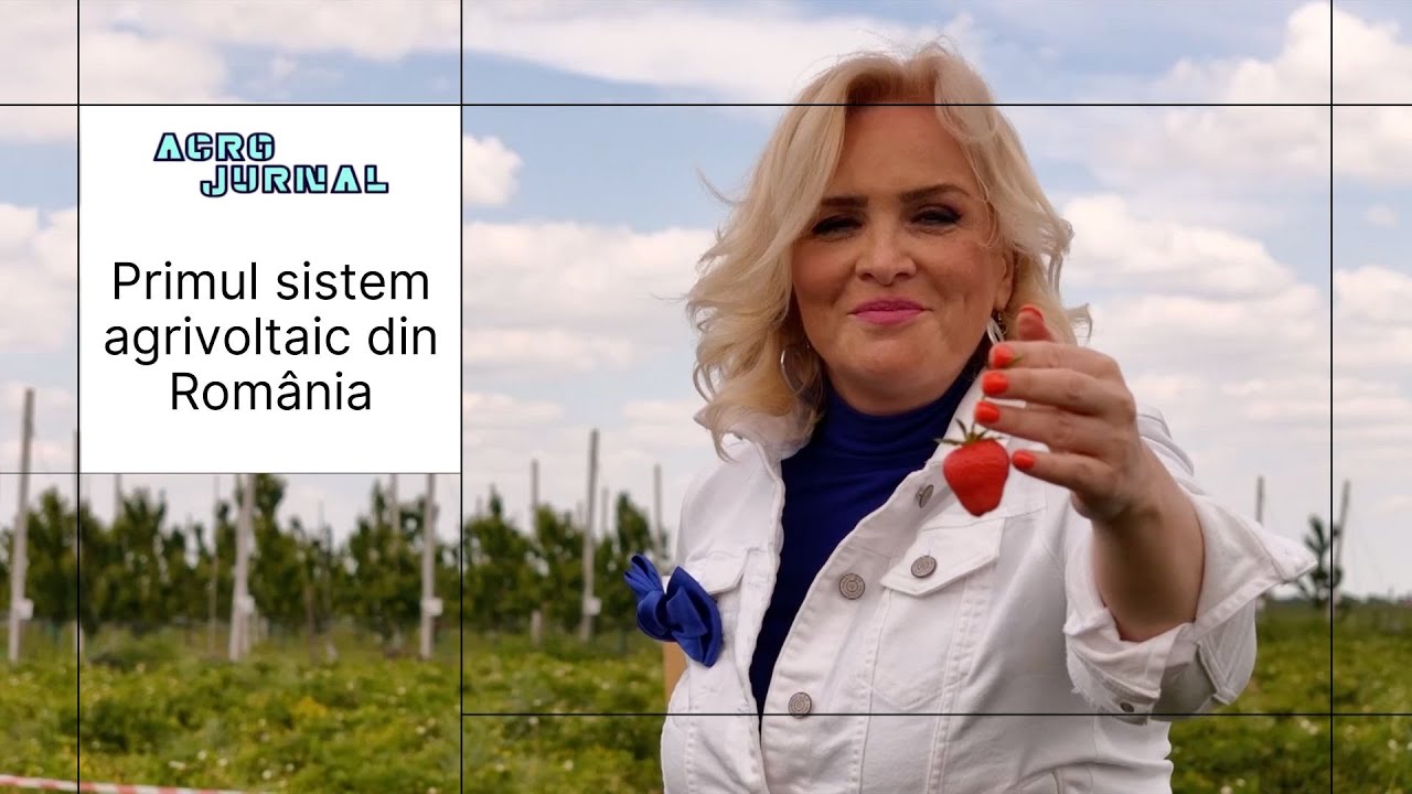 Primul sistem agrivoltaic din România: replică a sistemului inovator olandez #digi24