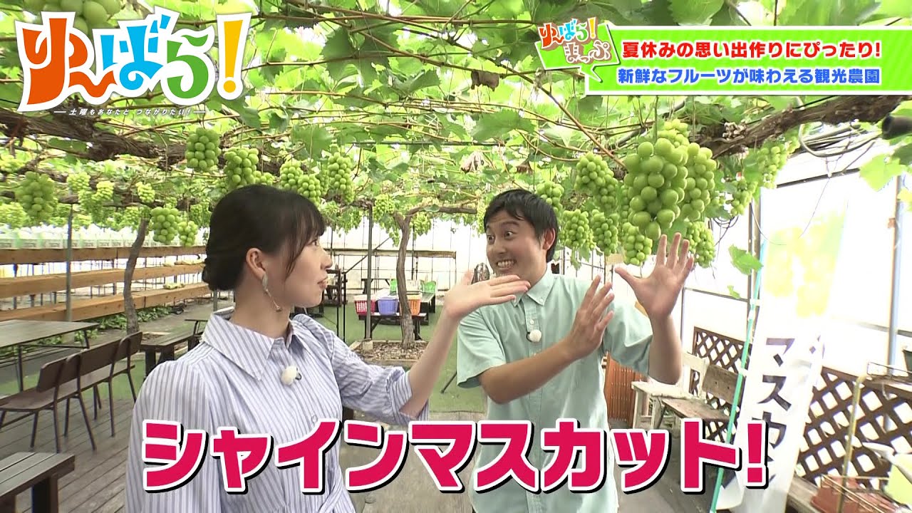 【ゆ～ばら！】いちご狩りやブドウ狩りが楽しめる「ゆきもと農園」