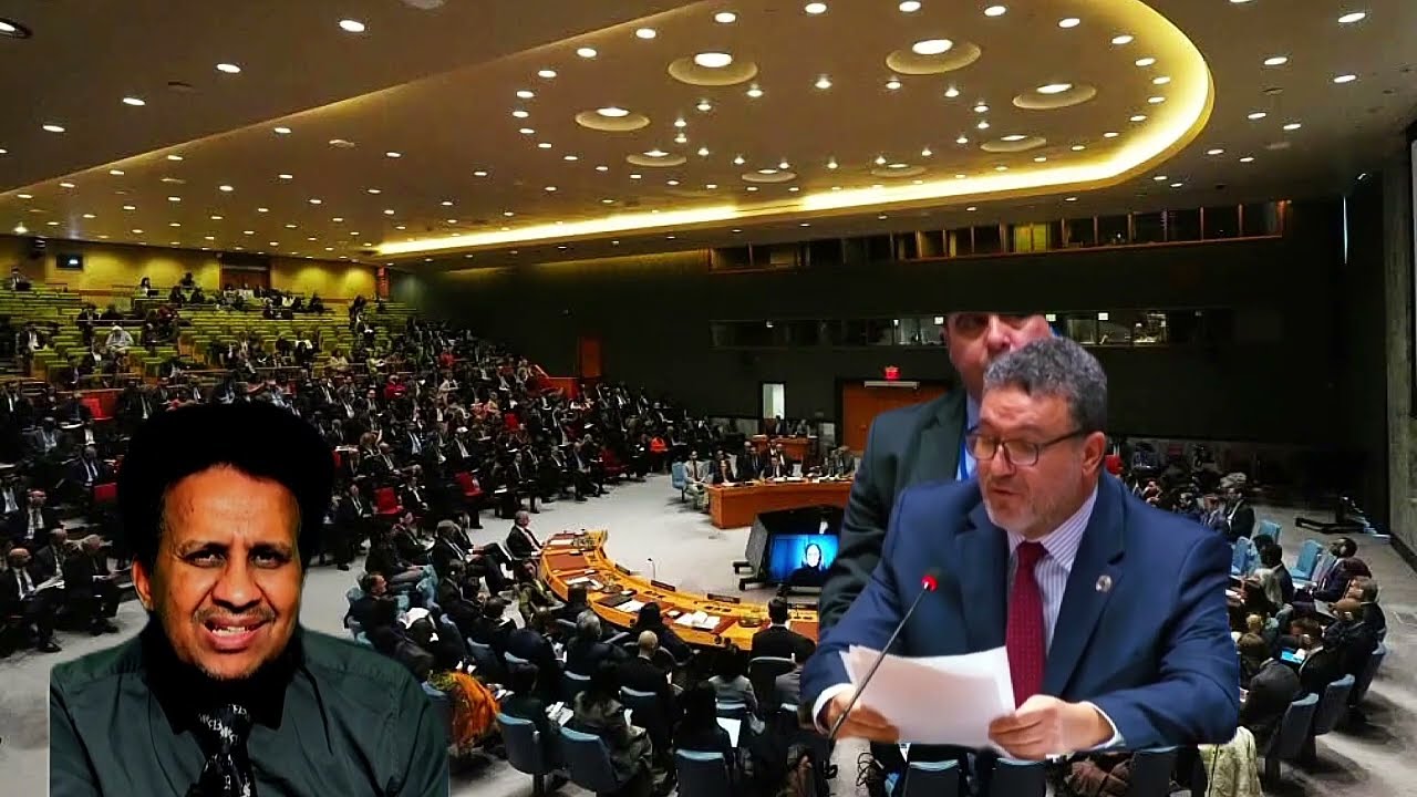 Daawo: Shirka deg dega ah ee Golaha Amaanka ee QM ee Somalia gudoominayso ee xaaldda Iraan.Daniirah
