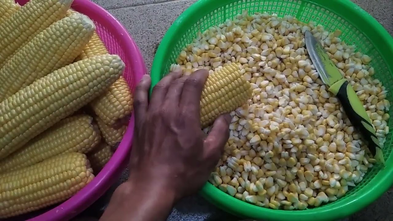 cara memipil jagung manis yg benar, cepat dan hasilnya bagus.