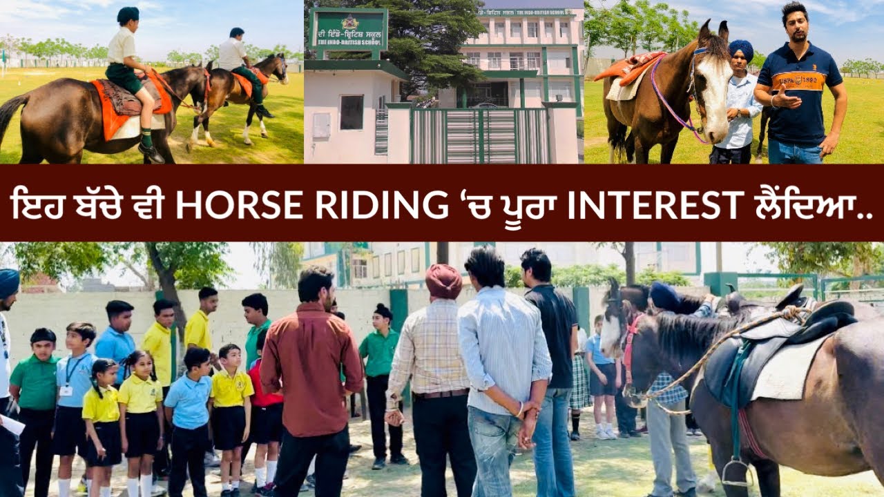 ਇਹ ਬੱਚੇ ਵੀ HORSE RIDING ਸਿੱਖਣ ‘ਚ ਪੂਰਾ interest ਲੈਂਦਿਆTHE INDO-BRITISH SCHOOL NABHA HORSERIDING CLASS