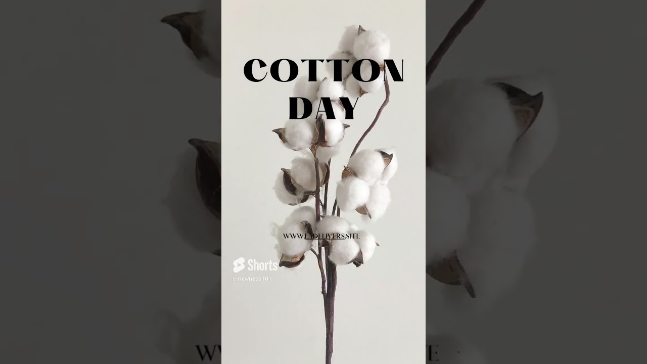 710WORLD COTTON DAY 1