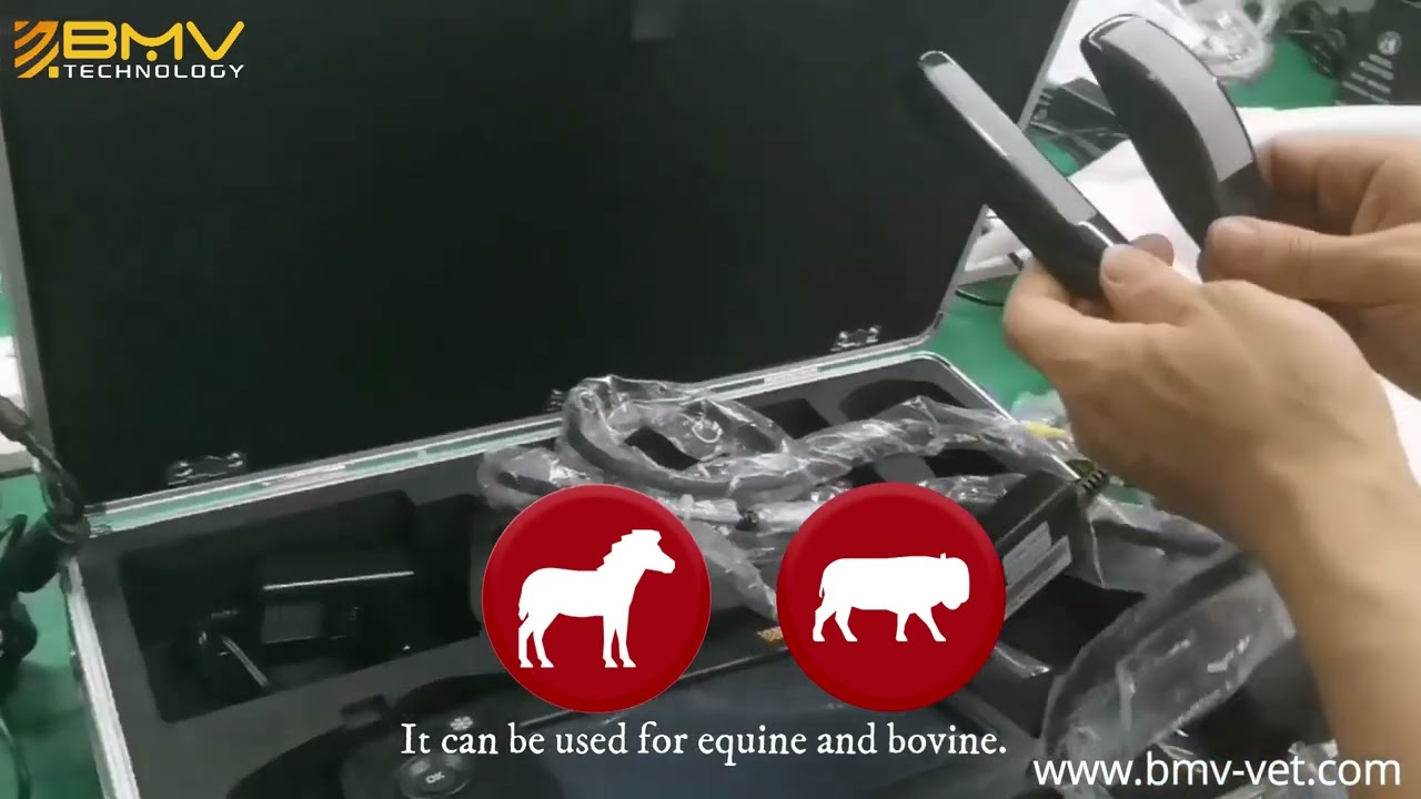 Ultrasonido BMV S6 Ecógrafo Veterinario