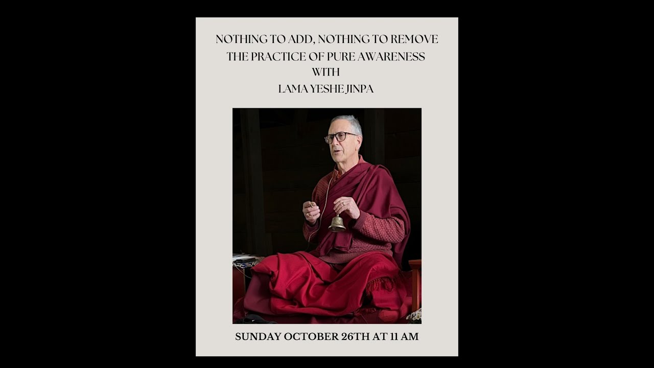Nothing to Add, Nothing to Remove: The Practice of Pure Awareness. Lama Yeshe Jinpa