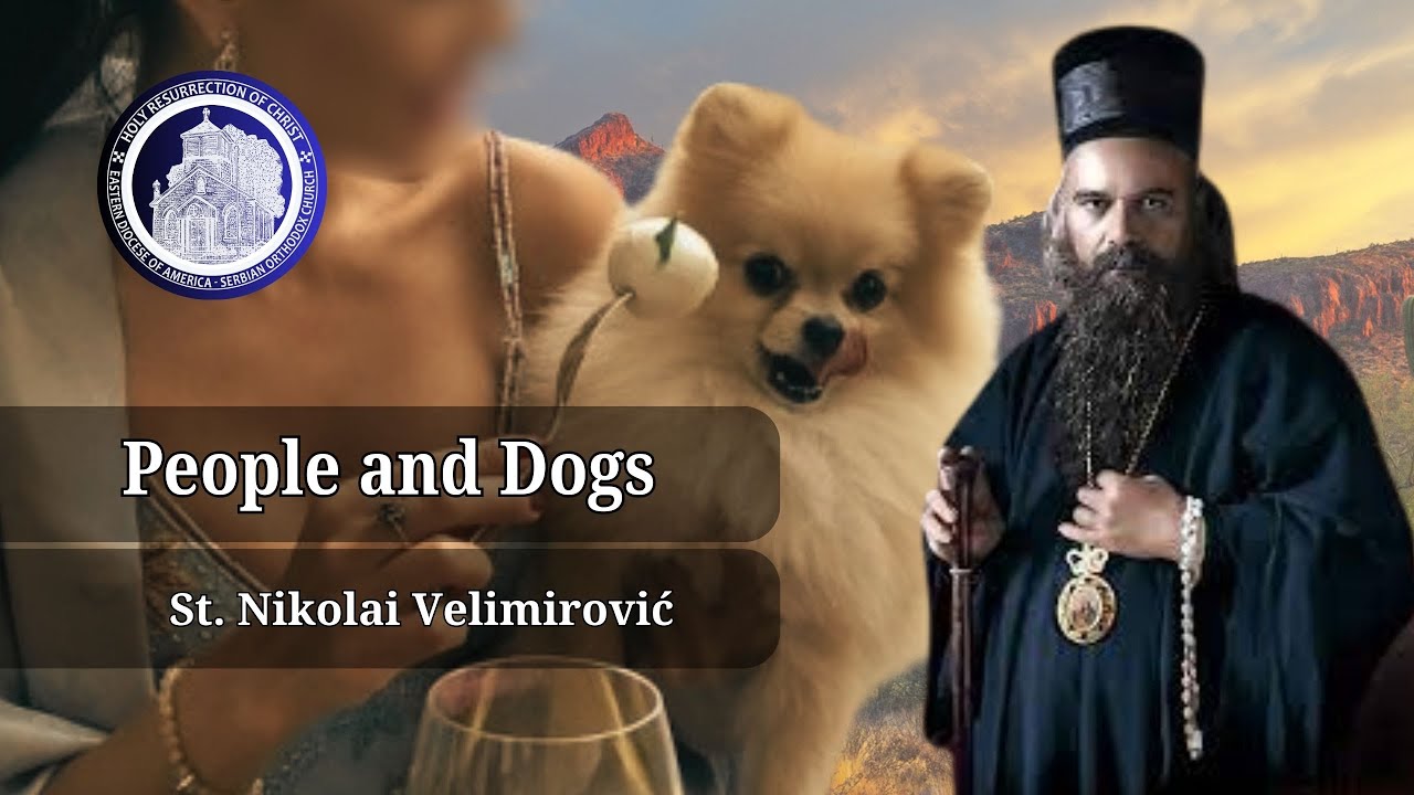 Люди и собаки