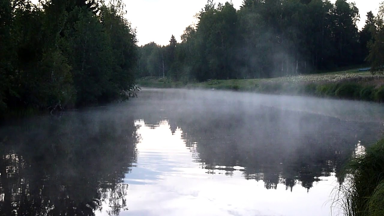 Dimma &ouml;ver S&auml;var&aring;n
