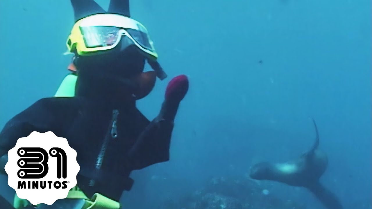 31 minutos - Nota verde - Viaje al fondo del mar