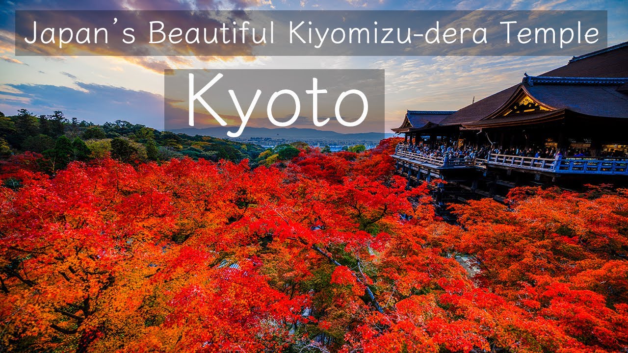 Kyoto Japan Autumn Leaves | Kiyomizu deraTemple Relaxation Video