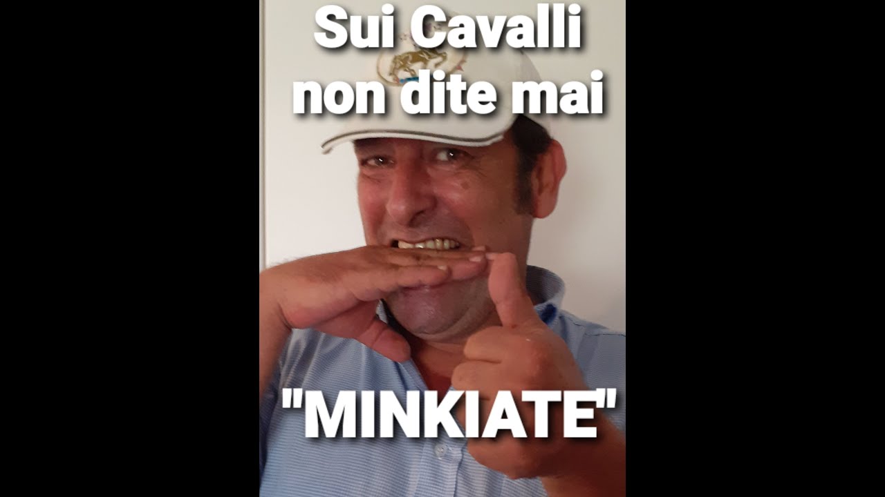 AIASE - LO CHAMBON PER L'EQUITAZIONE NATURALE....UNA 