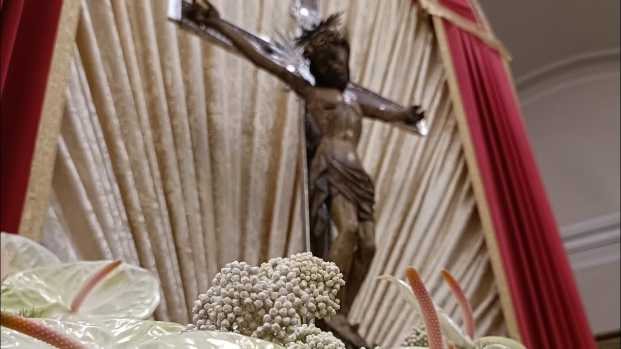 TRANI - Festa Patronale SANTISSIMO CROCIFISSO DI COLONNA 2024 - Solenne Processione