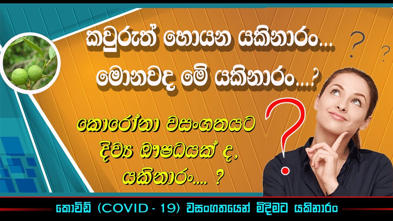 #Yakinaran /යකිනාරං / Benefits of yakinaran / Yakinaran කොළ කැඳ | Kola kanda  / #Atalantia_ceylanica