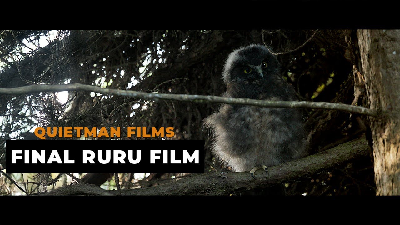 The Ruru and me 2025