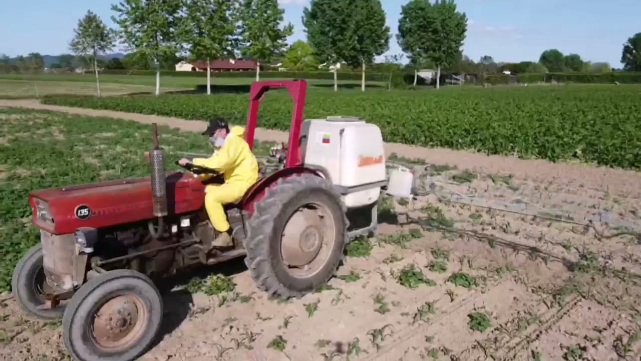 Massey Ferguson 135+Botte Diserbo post emergenza mais 2021