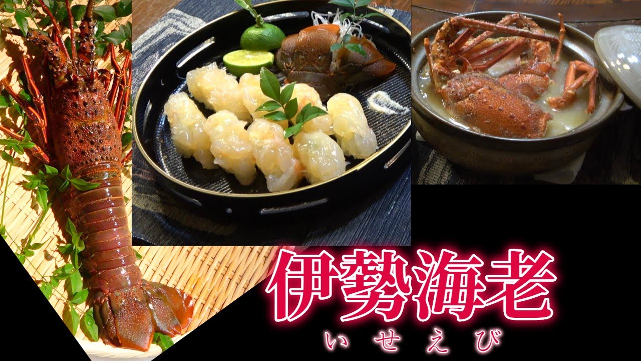 寿司職人による伊勢海老の握り寿司の作り方～How to making of Spiny lobster Sushi～