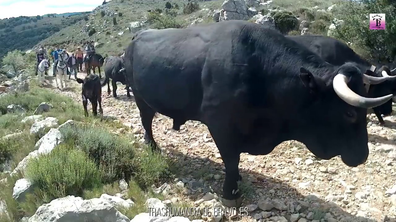 Alto Barranco de Salvasoria