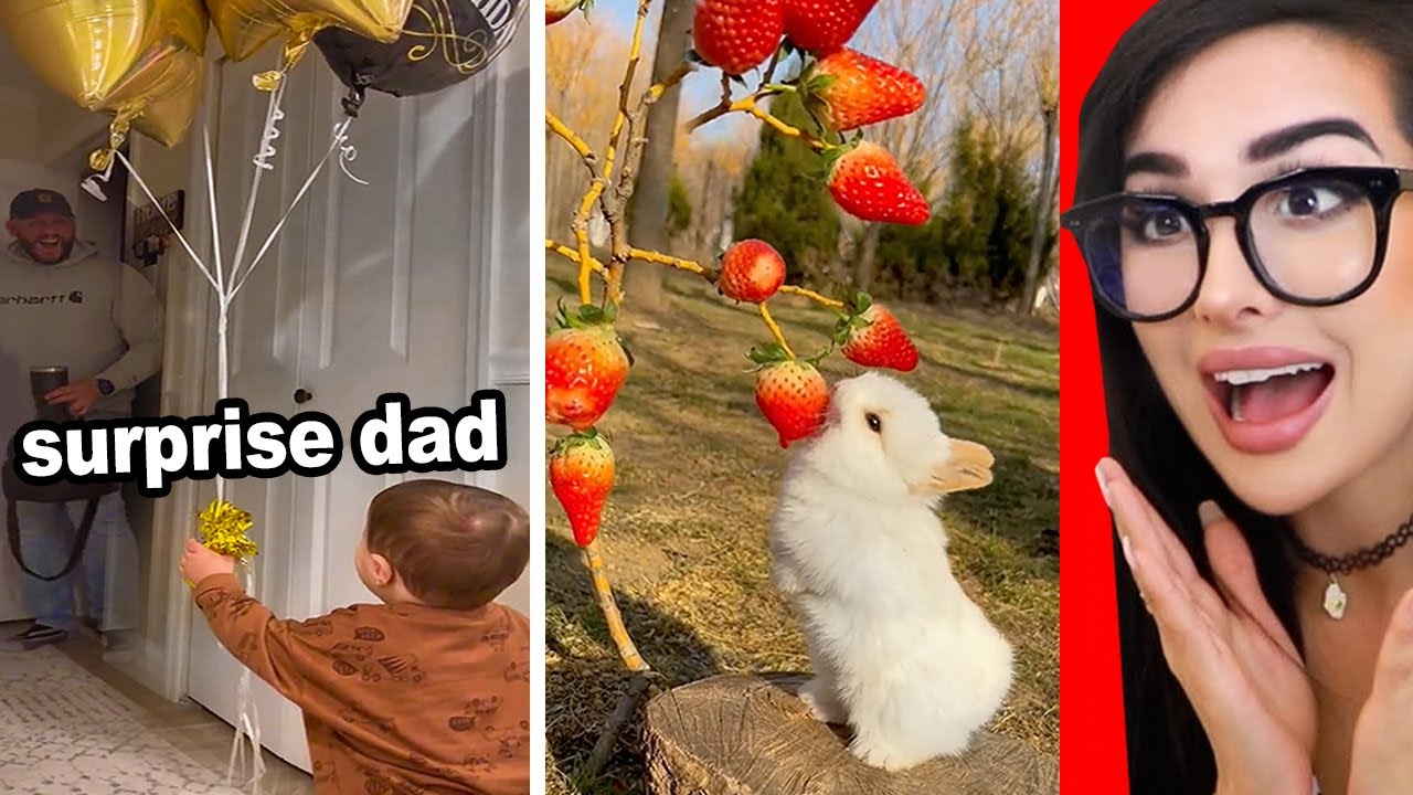 Wholesome Tik Toks That Will Make You Smile