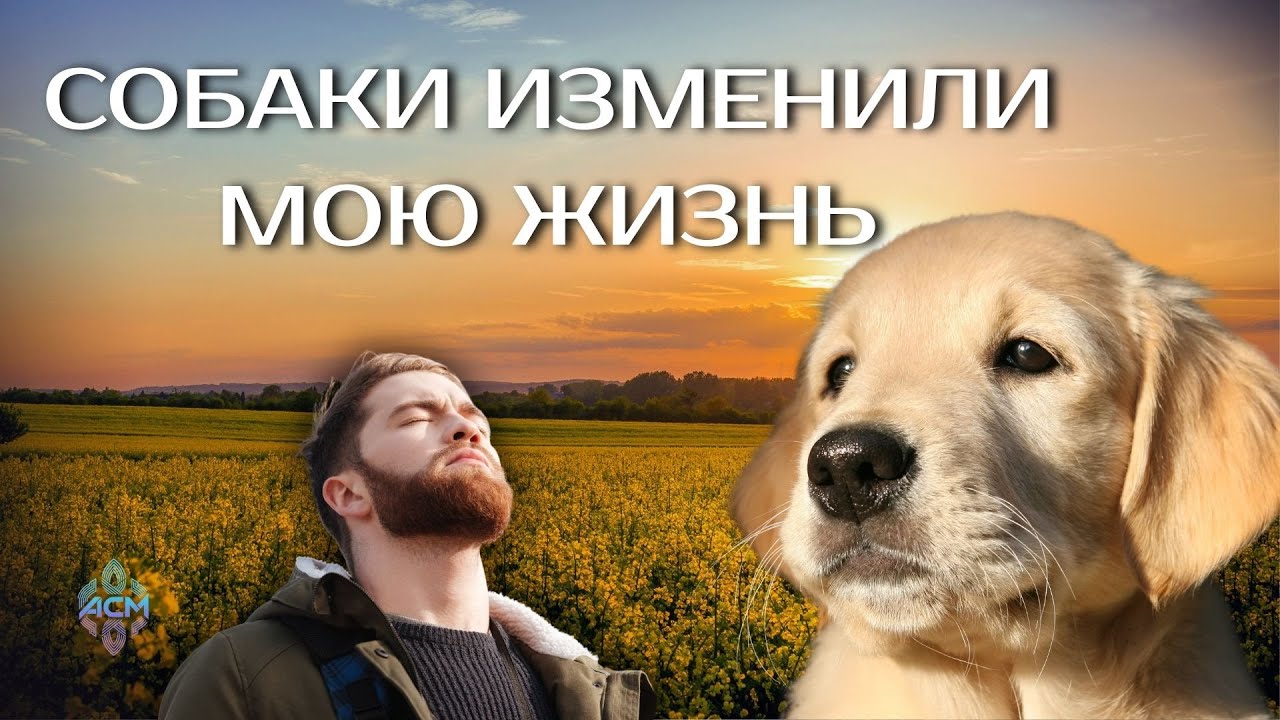 Стать лучшим другом - ARTCYOM | Song of Hope