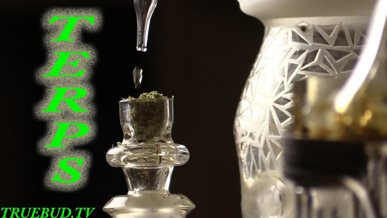 Blue River Extracts Terps