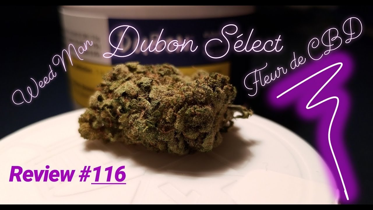 SQDC Weed Review #116 Fleur de CBD de Dubon Select