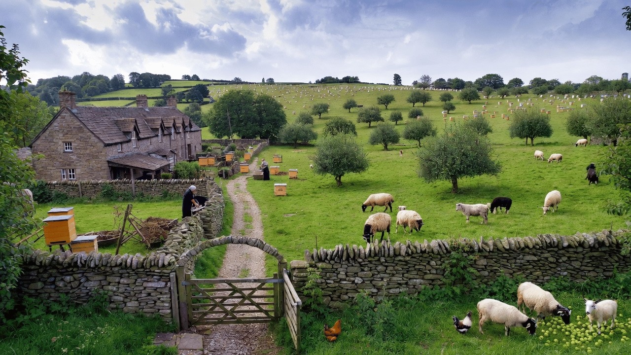Peaceful Rural Life: Harvesting Fruits and Vegetables Daily and Caring for Livestock