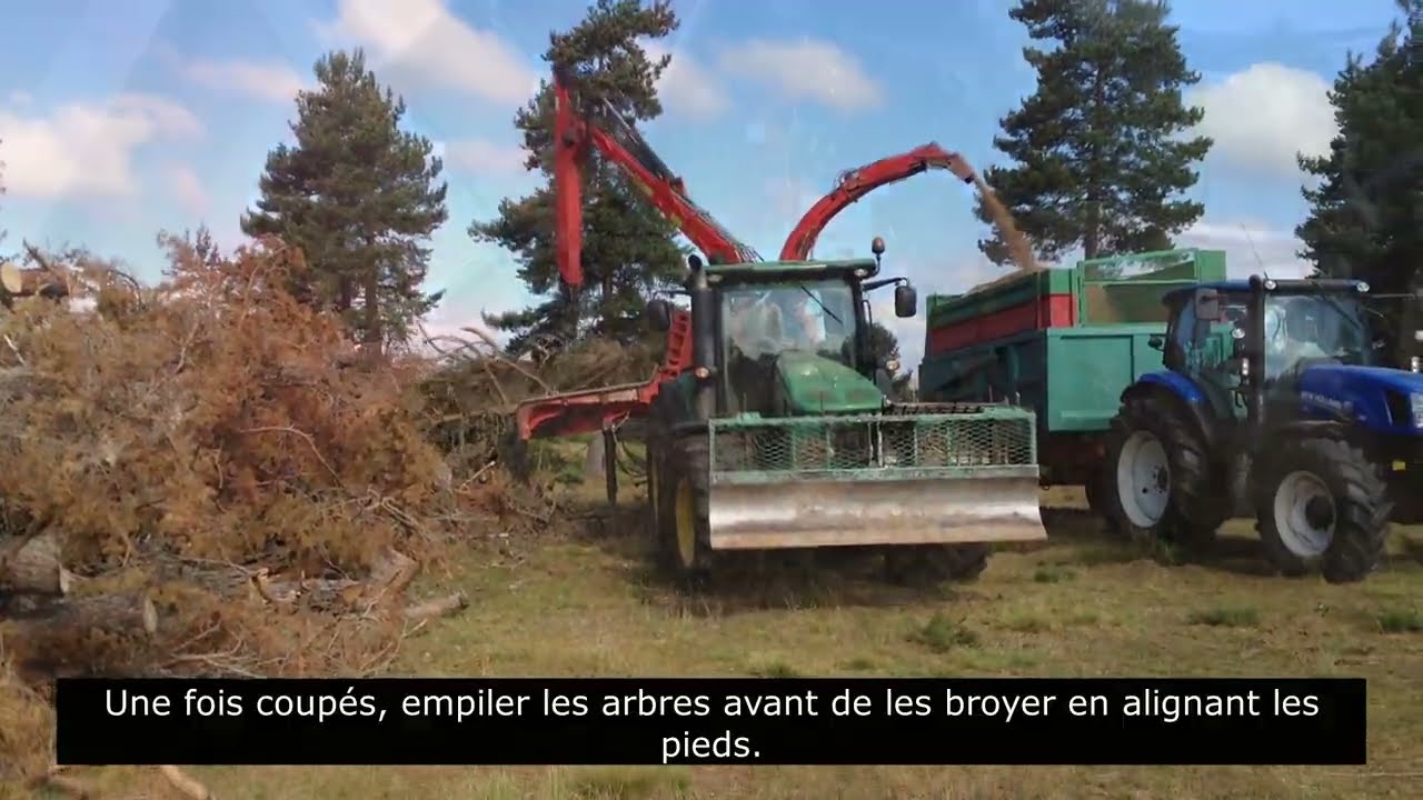 Plaquette forestière pour le paillage : une valorisation de vos bois